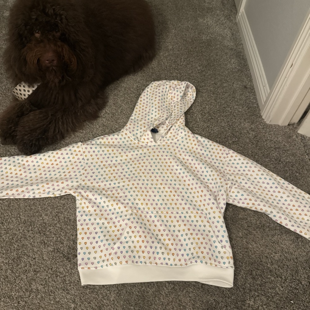 Roller Rabbit Multicolor Heart Hoodie